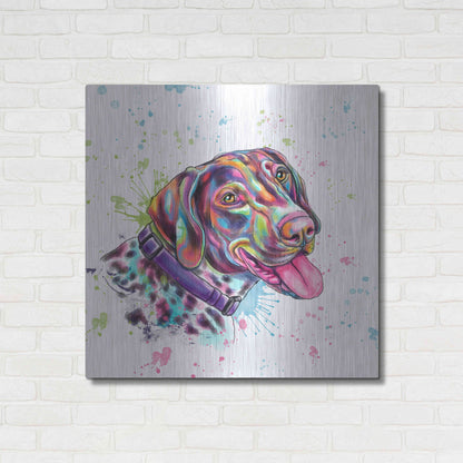 Luxe Metal Art 'Colorful Watercolor German Shorthaired Pointer' by Furbaby Affiliates, Metal Wall Art,36x36