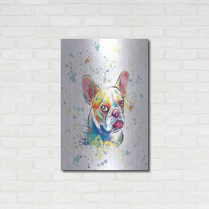 Luxe Metal Art 'Colorful Watercolor French Bulldog 2' by Furbaby Affiliates, Metal Wall Art,24x36