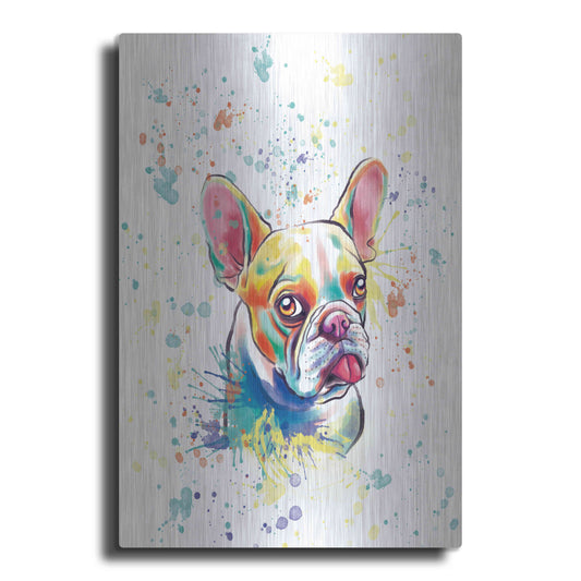 Luxe Metal Art 'Colorful Watercolor French Bulldog 2' by Furbaby Affiliates, Metal Wall Art