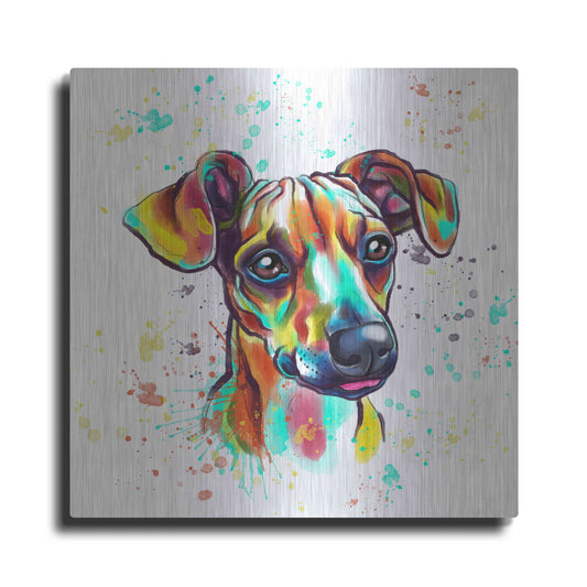 Luxe Metal Art 'Colorful Watercolor Dachshund' by Furbaby Affiliates, Metal Wall Art