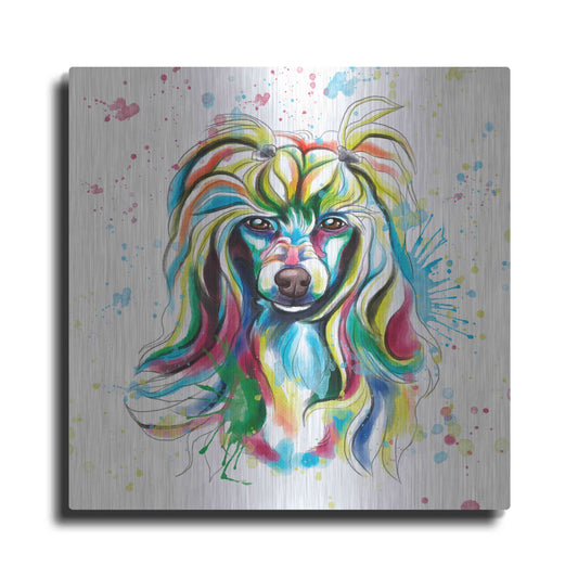 Luxe Metal Art 'Colorful Watercolor Chinese Crested' by Furbaby Affiliates, Metal Wall Art