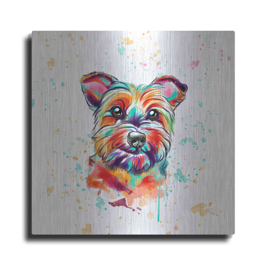 Luxe Metal Art 'Colorful Watercolor Cairn Terrier' by Furbaby Affiliates, Metal Wall Art