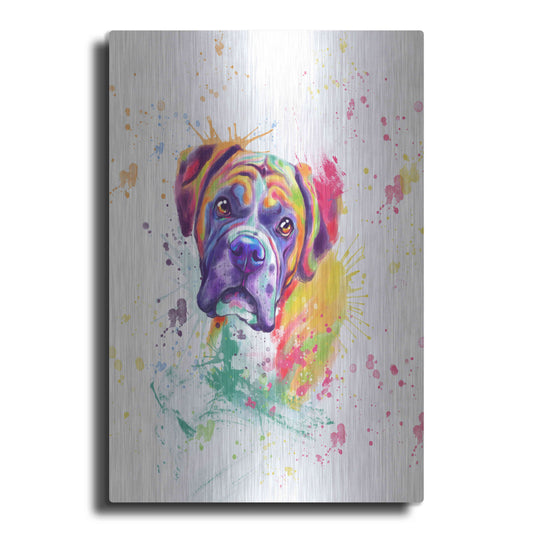 Luxe Metal Art 'Colorful Watercolor Boxer' by Furbaby Affiliates, Metal Wall Art