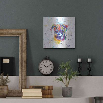 Luxe Metal Art 'Colorful Watercolor Boxer 2' by Furbaby Affiliates, Metal Wall Art,12x12