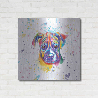 Luxe Metal Art 'Colorful Watercolor Boxer 2' by Furbaby Affiliates, Metal Wall Art,36x36