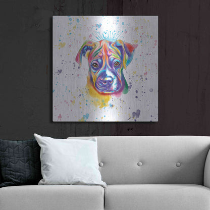Luxe Metal Art 'Colorful Watercolor Boxer 2' by Furbaby Affiliates, Metal Wall Art,36x36