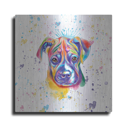 Luxe Metal Art 'Colorful Watercolor Boxer 2' by Furbaby Affiliates, Metal Wall Art