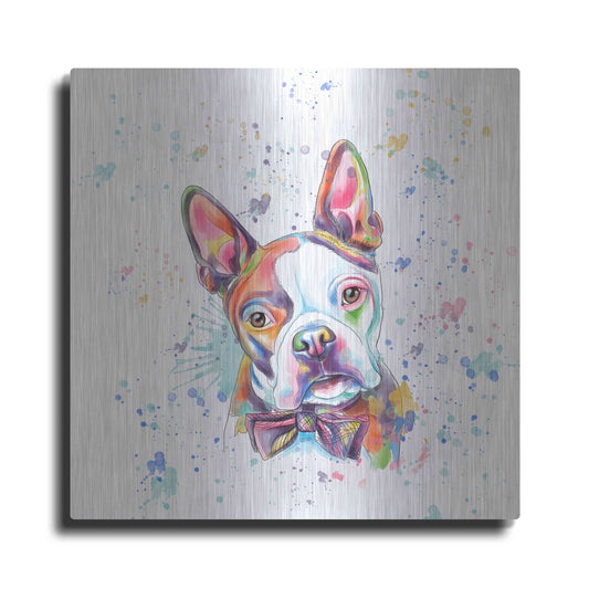Luxe Metal Art 'Colorful Watercolor Boston Terrier' by Furbaby Affiliates, Metal Wall Art