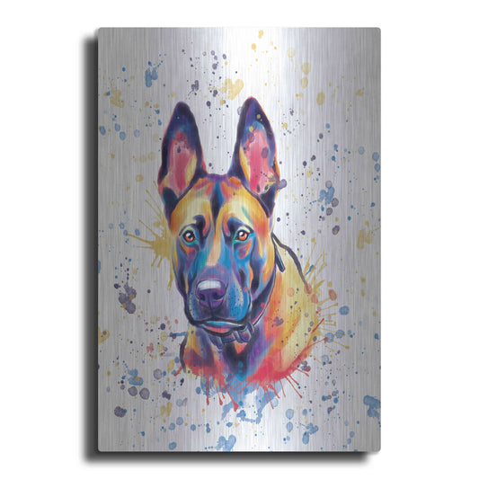 Luxe Metal Art 'Colorful Watercolor Belgian Malinois' by Furbaby Affiliates, Metal Wall Art