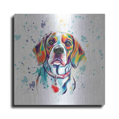 Luxe Metal Art 'Colorful Watercolor Beagle 2' by Furbaby Affiliates, Metal Wall Art