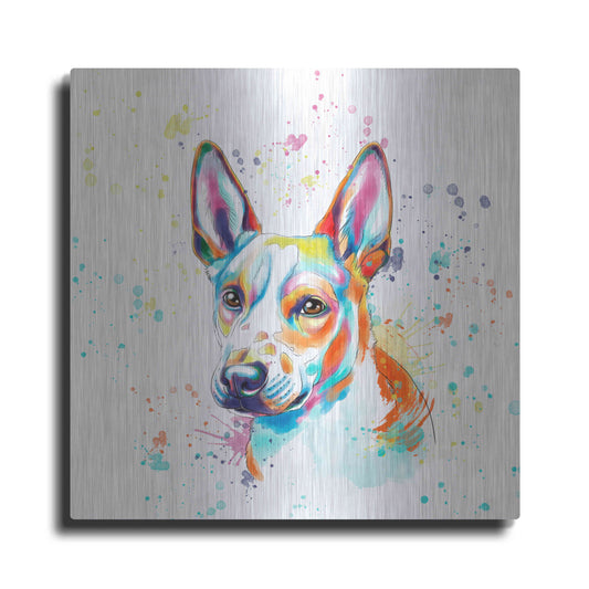 Luxe Metal Art 'Colorful Watercolor Basenji' by Furbaby Affiliates, Metal Wall Art