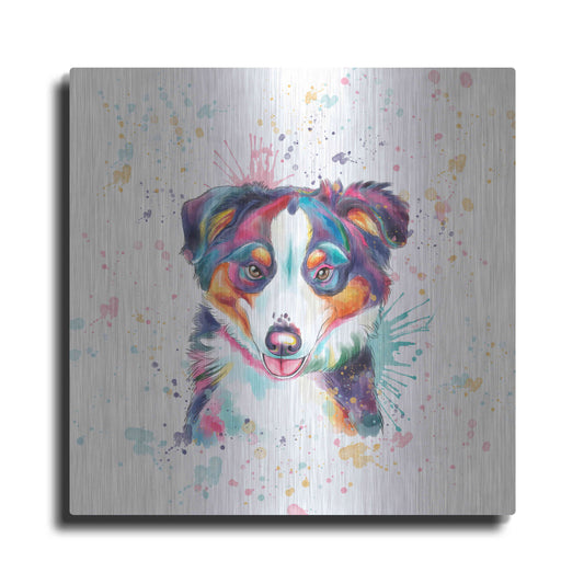 Luxe Metal Art 'Colorful Watercolor Australian Shepherd' by Furbaby Affiliates, Metal Wall Art