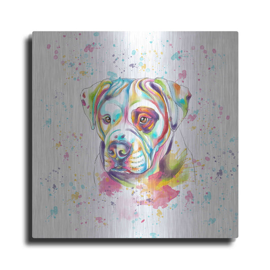 Luxe Metal Art 'Colorful Watercolor American Bulldog' by Furbaby Affiliates, Metal Wall Art