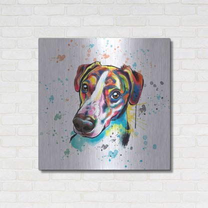 Luxe Metal Art 'Colorful Watercolor America Foxhound' by Furbaby Affiliates, Metal Wall Art,36x36