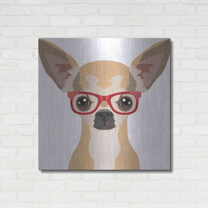 Luxe Metal Art 'Chihuahua Wearing Hipster Glasses' by Furbaby Affiliates, Metal Wall Art,36x36
