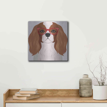 Luxe Metal Art 'Cavalier King Charles Spaniel Wearing Hipster Glasses' by Furbaby Affiliates, Metal Wall Art,12x12