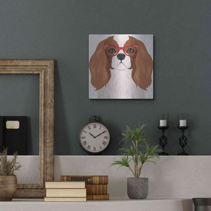 Luxe Metal Art 'Cavalier King Charles Spaniel Wearing Hipster Glasses' by Furbaby Affiliates, Metal Wall Art,12x12