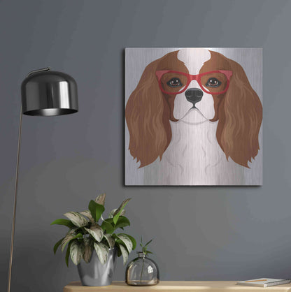 Luxe Metal Art 'Cavalier King Charles Spaniel Wearing Hipster Glasses' by Furbaby Affiliates, Metal Wall Art,24x24