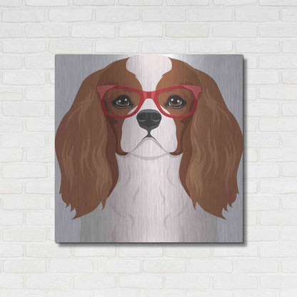 Luxe Metal Art 'Cavalier King Charles Spaniel Wearing Hipster Glasses' by Furbaby Affiliates, Metal Wall Art,36x36
