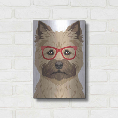Luxe Metal Art 'Cairn Terrier Wearing Hipster Glasses' by Furbaby Affiliates, Metal Wall Art,12x16