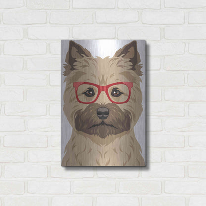 Luxe Metal Art 'Cairn Terrier Wearing Hipster Glasses' by Furbaby Affiliates, Metal Wall Art,16x24