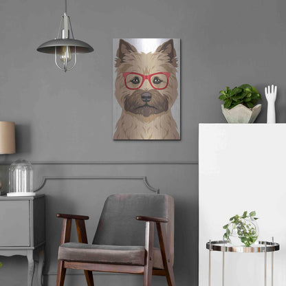 Luxe Metal Art 'Cairn Terrier Wearing Hipster Glasses' by Furbaby Affiliates, Metal Wall Art,16x24