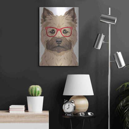 Luxe Metal Art 'Cairn Terrier Wearing Hipster Glasses' by Furbaby Affiliates, Metal Wall Art,16x24