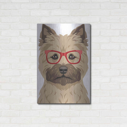 Luxe Metal Art 'Cairn Terrier Wearing Hipster Glasses' by Furbaby Affiliates, Metal Wall Art,24x36