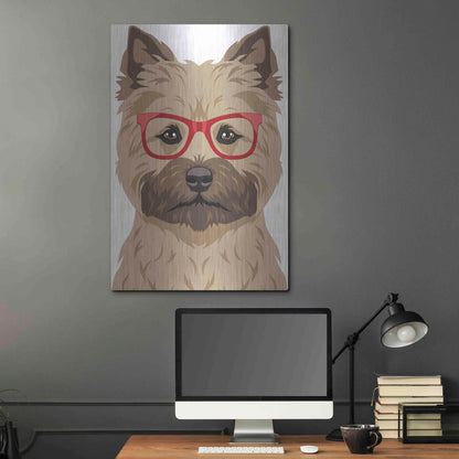 Luxe Metal Art 'Cairn Terrier Wearing Hipster Glasses' by Furbaby Affiliates, Metal Wall Art,24x36