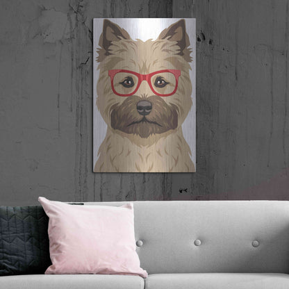 Luxe Metal Art 'Cairn Terrier Wearing Hipster Glasses' by Furbaby Affiliates, Metal Wall Art,24x36