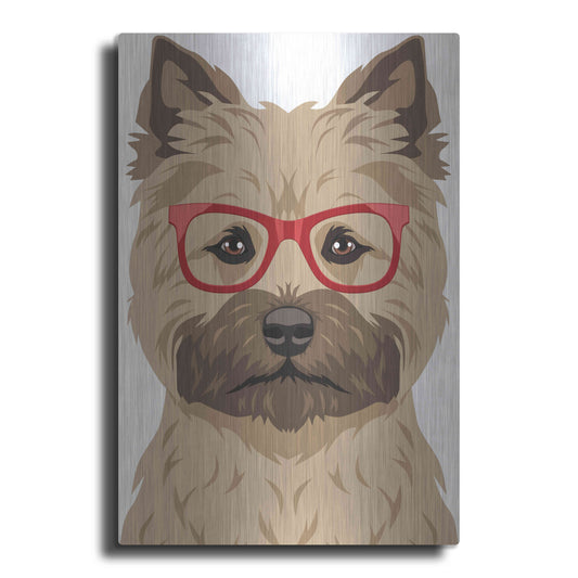 Luxe Metal Art 'Cairn Terrier Wearing Hipster Glasses' by Furbaby Affiliates, Metal Wall Art