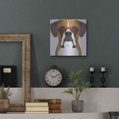 Luxe Metal Art 'Boxer Wearing Hipster Glasses' by Furbaby Affiliates, Metal Wall Art,12x12