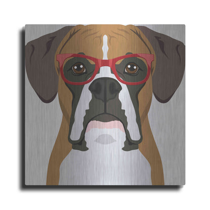 Luxe Metal Art 'Boxer Wearing Hipster Glasses' by Furbaby Affiliates, Metal Wall Art