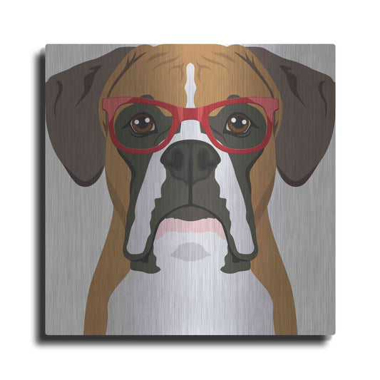 Luxe Metal Art 'Boxer Wearing Hipster Glasses' by Furbaby Affiliates, Metal Wall Art