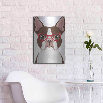 Luxe Metal Art 'Boston Terrier Wearing Hipster Glasses 2' by Furbaby Affiliates, Metal Wall Art,16x24