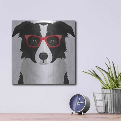 Luxe Metal Art 'Border Collie Wearing Hipster Glasses' by Furbaby Affiliates, Metal Wall Art,12x12