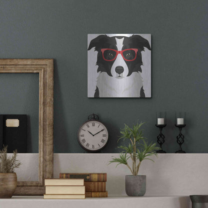 Luxe Metal Art 'Border Collie Wearing Hipster Glasses' by Furbaby Affiliates, Metal Wall Art,12x12