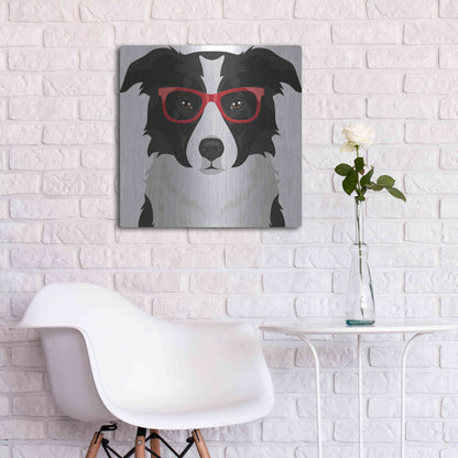 Luxe Metal Art 'Border Collie Wearing Hipster Glasses' by Furbaby Affiliates, Metal Wall Art,24x24