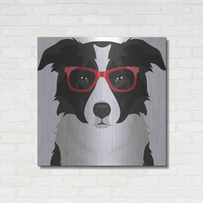 Luxe Metal Art 'Border Collie Wearing Hipster Glasses' by Furbaby Affiliates, Metal Wall Art,36x36