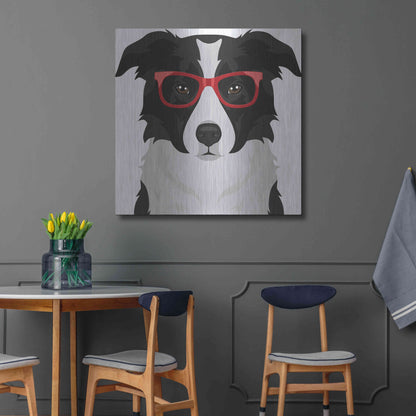 Luxe Metal Art 'Border Collie Wearing Hipster Glasses' by Furbaby Affiliates, Metal Wall Art,36x36