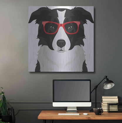 Luxe Metal Art 'Border Collie Wearing Hipster Glasses' by Furbaby Affiliates, Metal Wall Art,36x36