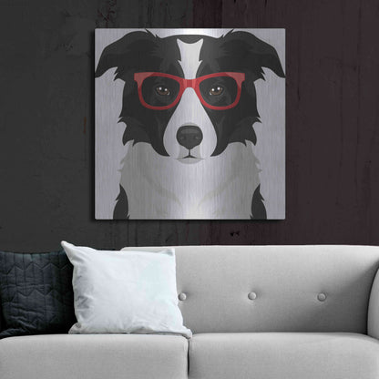 Luxe Metal Art 'Border Collie Wearing Hipster Glasses' by Furbaby Affiliates, Metal Wall Art,36x36