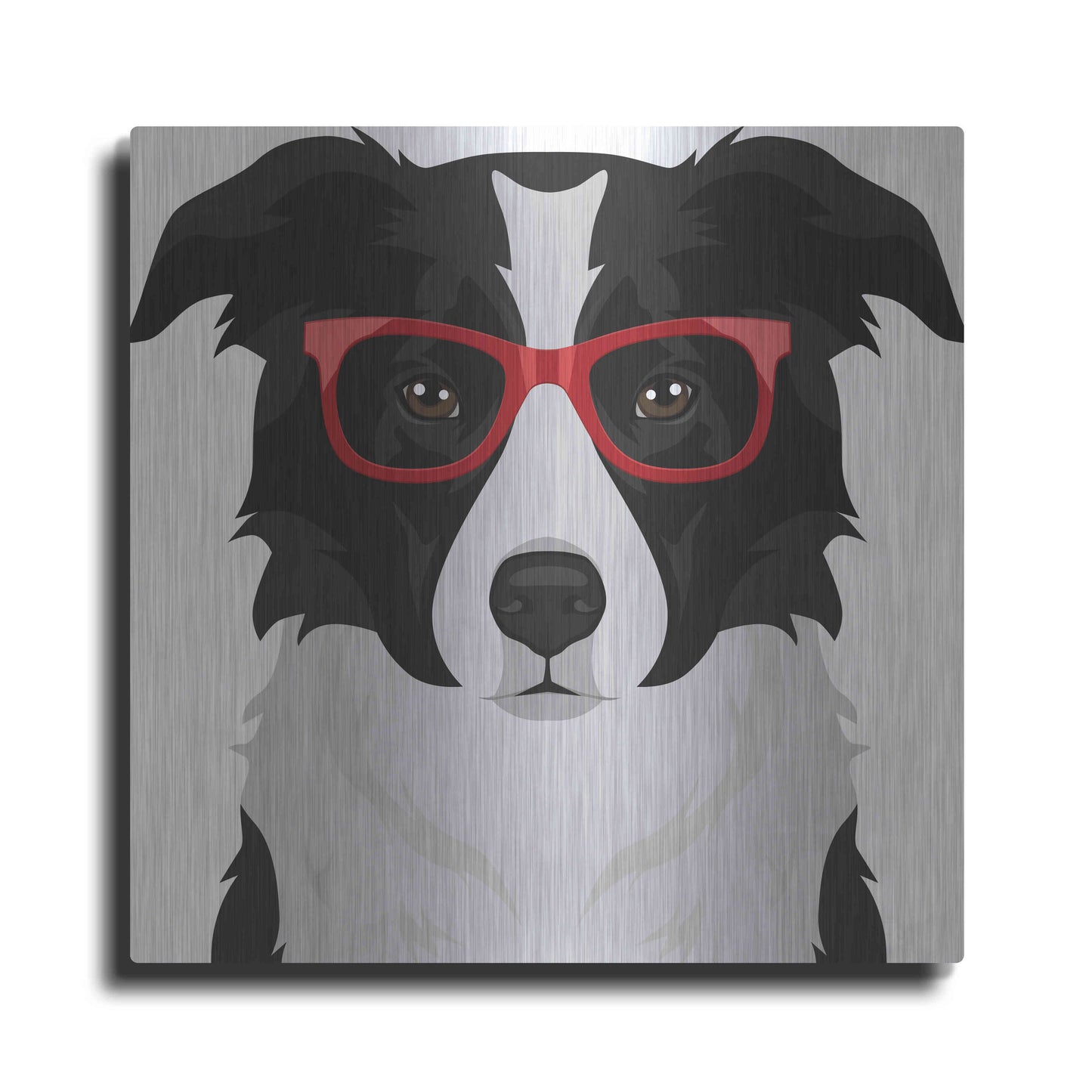 Luxe Metal Art 'Border Collie Wearing Hipster Glasses' by Furbaby Affiliates, Metal Wall Art