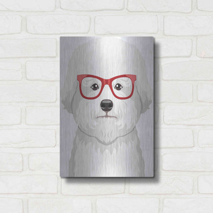 Luxe Metal Art 'Bichon Wearing Hipster Glasses' by Furbaby Affiliates, Metal Wall Art,12x16