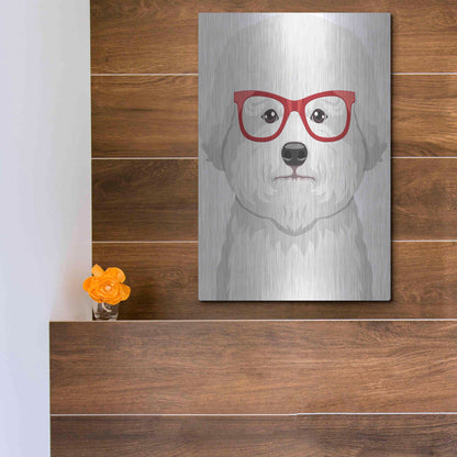 Luxe Metal Art 'Bichon Wearing Hipster Glasses' by Furbaby Affiliates, Metal Wall Art,12x16