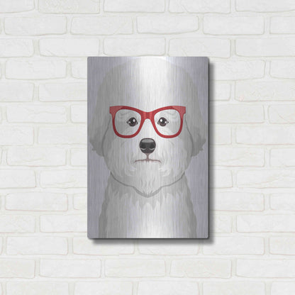 Luxe Metal Art 'Bichon Wearing Hipster Glasses' by Furbaby Affiliates, Metal Wall Art,16x24