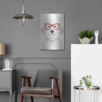 Luxe Metal Art 'Bichon Wearing Hipster Glasses' by Furbaby Affiliates, Metal Wall Art,16x24