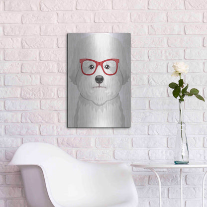 Luxe Metal Art 'Bichon Wearing Hipster Glasses' by Furbaby Affiliates, Metal Wall Art,16x24