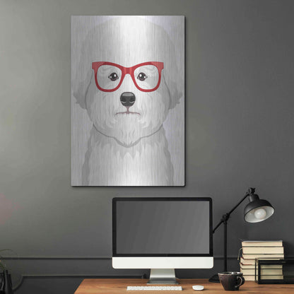 Luxe Metal Art 'Bichon Wearing Hipster Glasses' by Furbaby Affiliates, Metal Wall Art,24x36