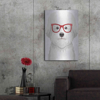 Luxe Metal Art 'Bichon Wearing Hipster Glasses' by Furbaby Affiliates, Metal Wall Art,24x36